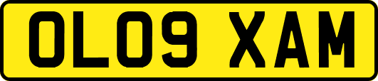 OL09XAM