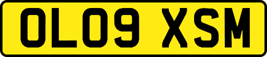 OL09XSM