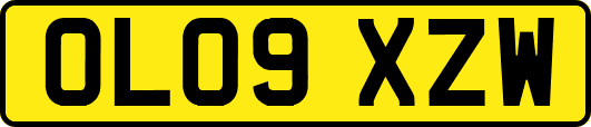 OL09XZW