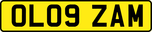 OL09ZAM