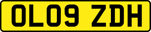 OL09ZDH