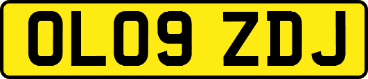 OL09ZDJ