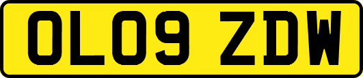 OL09ZDW