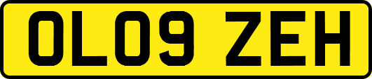 OL09ZEH