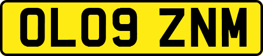 OL09ZNM