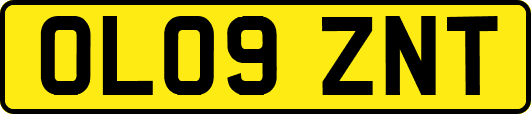 OL09ZNT