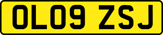 OL09ZSJ