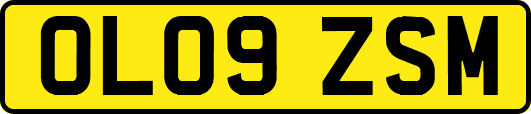 OL09ZSM
