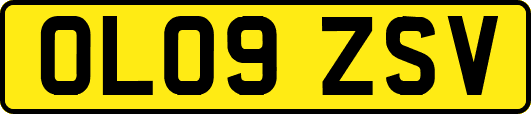 OL09ZSV