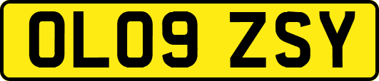 OL09ZSY