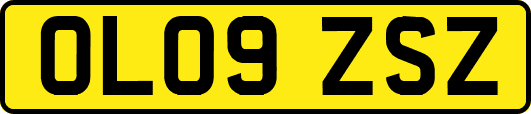 OL09ZSZ