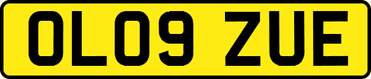 OL09ZUE