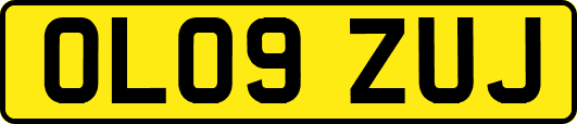 OL09ZUJ