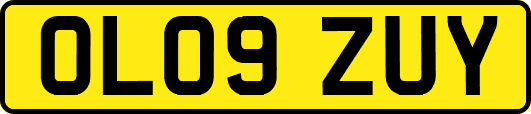 OL09ZUY