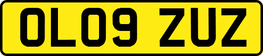 OL09ZUZ