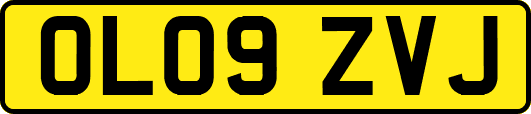 OL09ZVJ