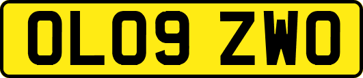 OL09ZWO