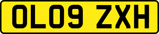 OL09ZXH