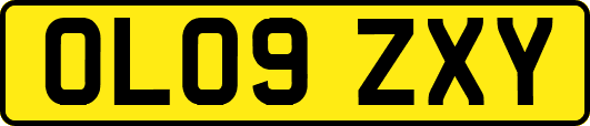 OL09ZXY