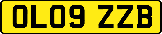 OL09ZZB