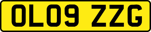 OL09ZZG