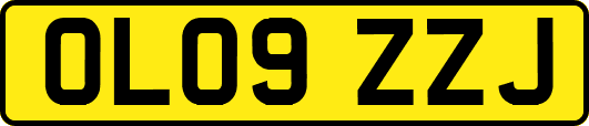 OL09ZZJ