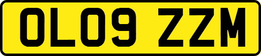 OL09ZZM