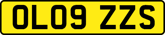 OL09ZZS