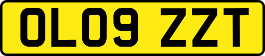 OL09ZZT