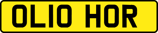 OL10HOR