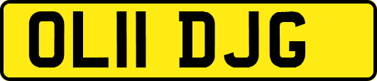 OL11DJG