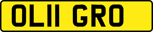 OL11GRO