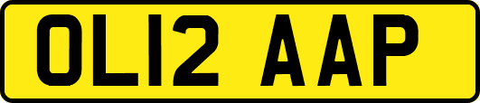 OL12AAP