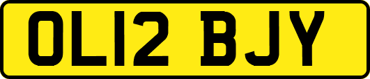 OL12BJY