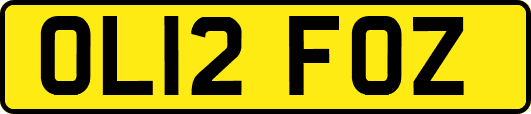 OL12FOZ