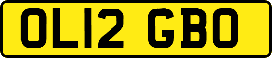 OL12GBO