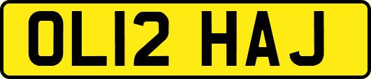 OL12HAJ