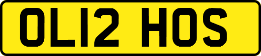 OL12HOS