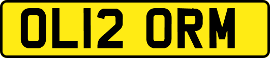 OL12ORM