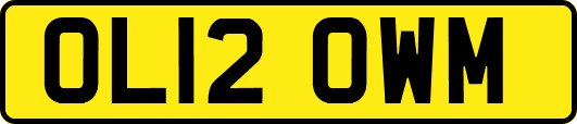 OL12OWM