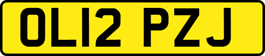 OL12PZJ