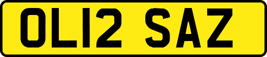 OL12SAZ