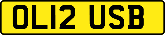 OL12USB