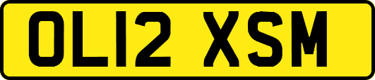 OL12XSM