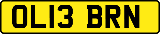OL13BRN
