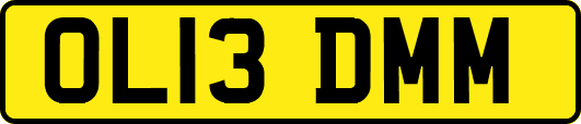 OL13DMM