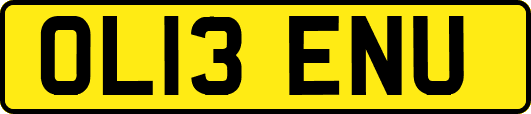 OL13ENU