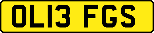 OL13FGS