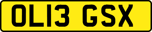OL13GSX