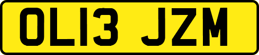 OL13JZM